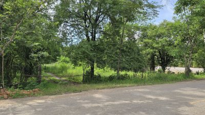 สวนต้นไม้ผสมผสานอายุกว่า 20 ปี อ.จอมบึง จ.ราชบุรี