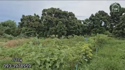 สวนเกษตรในอำเภอเมืองราชบุรี เนื้อที่ 5 ไร่ 1 งาน