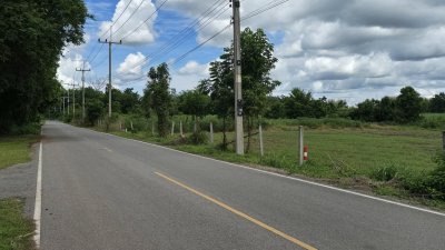 ที่ดิน 200 ตร.วา ติดถนนลาดยางอยู่ในชุมชนหมู่บ้าน