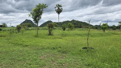 ที่ดินเขตชุมชนเกาะตาพุด 6 ไร่ ไร่ละ 490,000.- พร้อมโอน