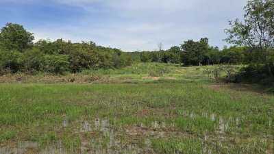 ดินโฉนดวิวเขา 1 ไร่ 1 งาน 450,000 บาท อ.จอมบึง จ.ราชบุรี