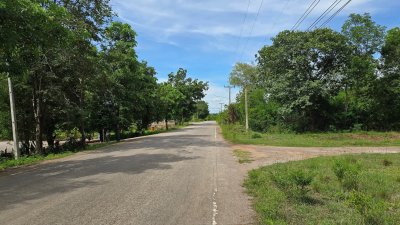 สวนป่าไม้ผสมผสานอายุกว่า 20 ปี 4 ไร่ 3 งาน ไร่ละ 460,000 บาท สวนป่าไม้ผสมผสานอายุกว่า 20 ปี 4 ไร่ 3 งาน ไร่ละ 460,000 บาท