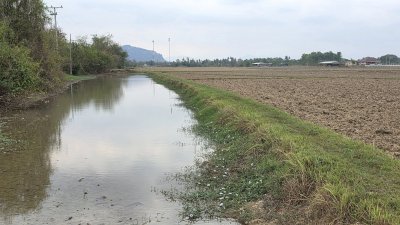 ที่ดินหน้ากว้างติดคลองชลประทาน 5 ไร่ 2 งาน ไร่ละ 450,000 บาท