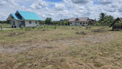 ที่ดินติดถนนลาดยาง มีสระเก็บน้ำ 350 ตร.วา ราคา 650,000 บาท