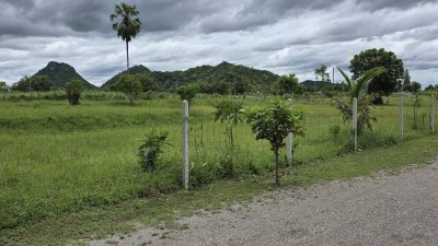 ที่ดินเขตชุมชนเกาะตาพุด 6 ไร่ ไร่ละ 490,000.- พร้อมโอน