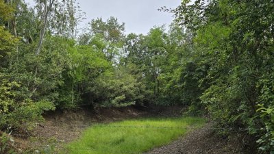 ที่ดินโฉนด 2 ไร่ ไร่ละ 460,000 บาท มีต้นไม้ผสมผสาน