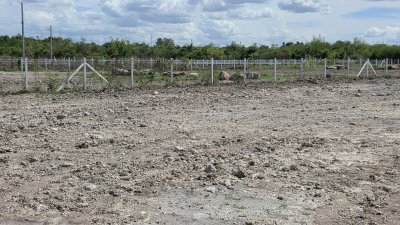 1 ไร่ 1 งาน 890,000.- ต.จอมบึง อ.จอมบึง จ.ราชบุรี