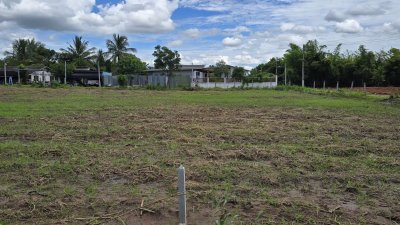 ที่ดิน 200 ตร.วา ติดถนนลาดยางอยู่ในชุมชนหมู่บ้าน