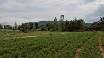 ดินโฉนดวิวเขา 1 ไร่ 1 งาน 450,000 บาท อ.จอมบึง จ.ราชบุรี