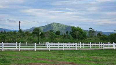 เนื้อที่ 3 ไร่ ราคา 1,590,000 บาท อ.จอมบึง จ.ราชบุรี