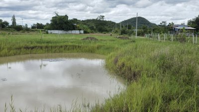 ที่ดินเขตชุมชนเกาะตาพุด 6 ไร่ ไร่ละ 490,000.- พร้อมโอน ที่ดินเขตชุมชนเกาะตาพุด 6 ไร่ ไร่ละ 490,000.- พร้อมโอน