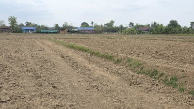 ที่ดินหน้ากว้างติดคลองชลประทาน 5 ไร่ 2 งาน ไร่ละ 450,000 บาท