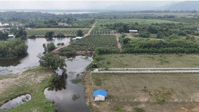 ที่ดินติดอ่างเก็บน้ำห้วยไม้เต็งที่ 4 ไร่ เริ่มต้น 2,990,000 ที่ดินติดอ่างเก็บน้ำห้วยไม้เต็งที่ 4 ไร่ เริ่มต้น 2,990,000