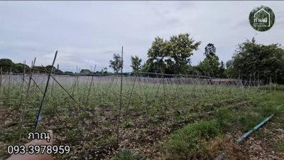 สวนเกษตรในอำเภอเมืองราชบุรี เนื้อที่ 5 ไร่ 1 งาน