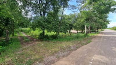 ที่ดินติดถนนลาดยาง  2 ไร่ 3 งาน ราคาไร่ละ 460,000 บาท