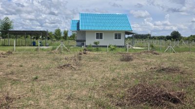 ที่ดินติดถนนลาดยาง มีสระเก็บน้ำ 350 ตร.วา ราคา 650,000 บาท