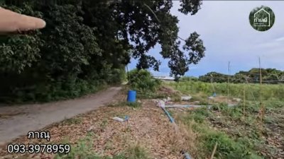 สวนเกษตรในอำเภอเมืองราชบุรี เนื้อที่ 5 ไร่ 1 งาน