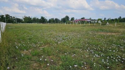 ที่ดินติดถนนหลักจอมบึง-ป่าหวาย 2 ไร่ ราคา 2,200,000 บาท