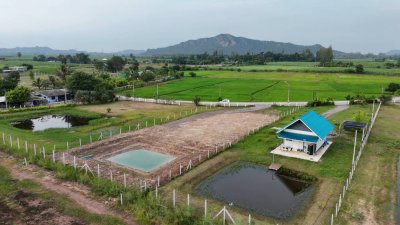 ที่ดินติดถนนลาดยาง มีสระเก็บน้ำ 350 ตร.วา ราคา 650,000 บาท