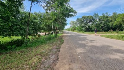 ที่ดินติดถนนลาดยาง  2 ไร่ 3 งาน ราคาไร่ละ 460,000 บาท