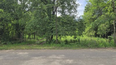 สวนต้นไม้ผสมผสานอายุกว่า 20 ปี อ.จอมบึง จ.ราชบุรี