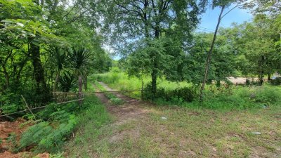 ที่ดินติดถนนลาดยาง  2 ไร่ 3 งาน ราคาไร่ละ 460,000 บาท