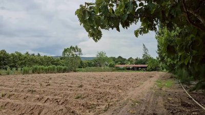 บ้านพร้อมที่ดินสำหรับทำการเกษตร 7 ไร่ ไร่ละ 430,000 บาท