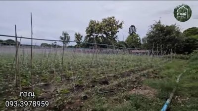 สวนเกษตรในอำเภอเมืองราชบุรี เนื้อที่ 5 ไร่ 1 งาน