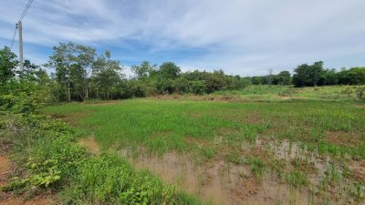 ที่ดินโฉนดวิวเขา 1 ไร่ 1 งาน 450,000 บาท ใกล้ชุมชน 7-11 ส่งถึง