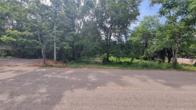 ที่ดินติดถนนลาดยาง  2 ไร่ 3 งาน ราคาไร่ละ 460,000 บาท