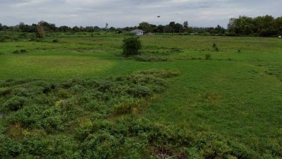 เนื้อที่ 17 ไร่ 3 งาน ไร่ละ 230,000 บาท ติดถนนคอนกรีต เนื้อที่ 17 ไร่ 3 งาน ไร่ละ 230,000 บาท ติดถนนคอนกรีต