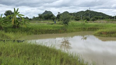 ที่ดินเขตชุมชนเกาะตาพุด 6 ไร่ ไร่ละ 490,000.- พร้อมโอน ที่ดินเขตชุมชนเกาะตาพุด 6 ไร่ ไร่ละ 490,000.- พร้อมโอน