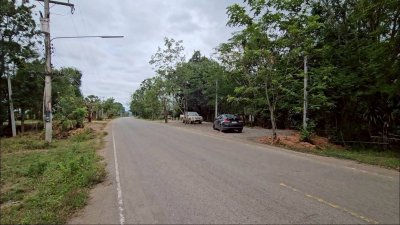 สวนป่าไม้ผสมผสานอายุกว่า 20 ปี 4 ไร่ 3 งาน ไร่ละ 460,000 บาท