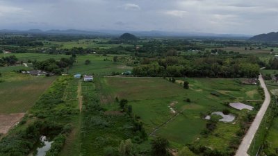 เนื้อที่ 17 ไร่ 3 งาน ไร่ละ 230,000 บาท ติดถนนคอนกรีต เนื้อที่ 17 ไร่ 3 งาน ไร่ละ 230,000 บาท ติดถนนคอนกรีต