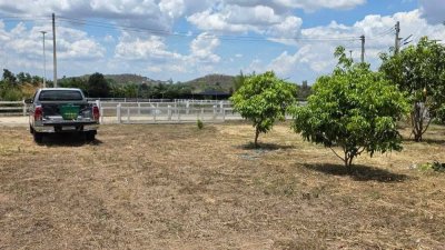 ที่สวนมะม่วง 350 ตร.วา มีน้ำประปา+ไฟฟ้า ใกล้ถนนทางหลวงชนบท