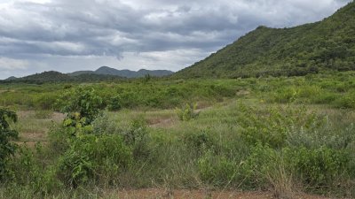 ที่ดินติดภูเขา เอกสารสิทธ์เป็นโฉนด เนื้อที่ขนาด 30 ไร่