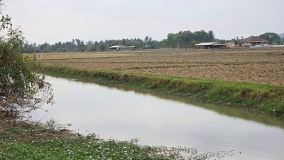 ที่ดินหน้ากว้างติดคลองชลประทาน 5 ไร่ 2 งาน ไร่ละ 450,000 บาท ที่ดินหน้ากว้างติดคลองชลประทาน 5 ไร่ 2 งาน ไร่ละ 450,000 บาท