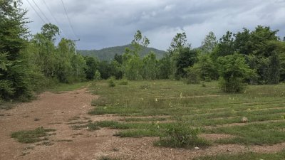 ที่ดินติดภูเขา เอกสารสิทธ์เป็นโฉนด เนื้อที่ขนาด 30 ไร่