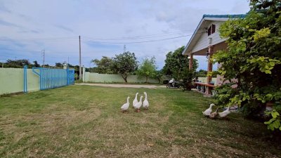 บ้านพร้อมที่ดิน รั้วคอนกรีต ใกล้ 7-11 อ.บ้านโป่ง จ.ราชบุรี