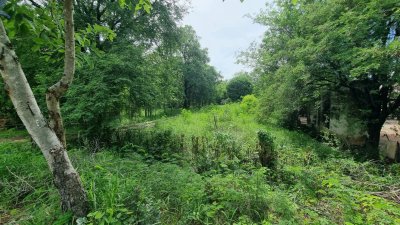 ที่ดินติดถนนลาดยาง  2 ไร่ 3 งาน ราคาไร่ละ 460,000 บาท