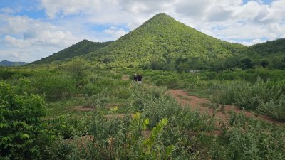 ที่ดินติดภูเขา เอกสารสิทธ์เป็นโฉนด เนื้อที่ขนาด 30 ไร่ ที่ดินติดภูเขา เอกสารสิทธ์เป็นโฉนด เนื้อที่ขนาด 30 ไร่