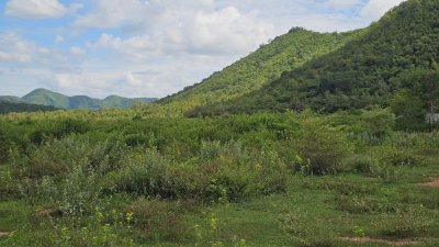 ที่ดินติดภูเขา เอกสารสิทธ์เป็นโฉนด เนื้อที่ขนาด 30 ไร่