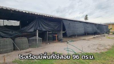 บ้านพร้อมที่ดิน 1 ไร่ พร้อมโรงเรือน อ.โพธาราม จ.ราชบุรี