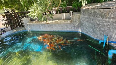 บ้านสวนเกษตรผสมผสานไม้กิน พร้อมบ้าน 2 หลัง