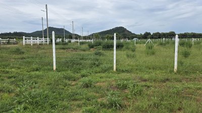 ที่ดินโฉนด ผ่อนได้ถึง 84 งวด เนื้อที่ 1 ไร่ วิวเขาล้อม ที่ดินโฉนด ผ่อนได้ถึง 84 งวด เนื้อที่ 1 ไร่ วิวเขาล้อม