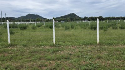 ที่ดินโฉนด ผ่อนได้ถึง 84 งวด เนื้อที่ 1 ไร่ วิวเขาล้อม ที่ดินโฉนด ผ่อนได้ถึง 84 งวด เนื้อที่ 1 ไร่ วิวเขาล้อม