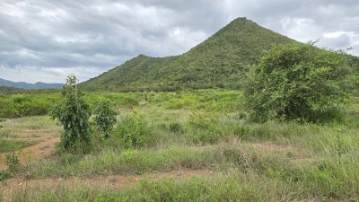 ที่ดินติดภูเขา เอกสารสิทธ์เป็นโฉนด เนื้อที่ขนาด 30 ไร่