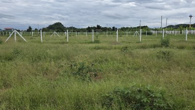 ที่ดินโฉนด ผ่อนได้ถึง 84 งวด เนื้อที่ 1 ไร่ วิวเขาล้อม