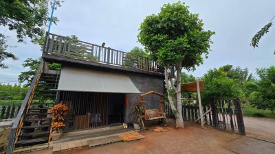 บ้านสวนเกษตรผสมผสานไม้กิน พร้อมบ้าน 2 หลัง