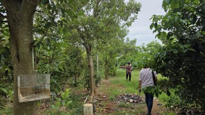 บ้านและสวนผสม พร้อมเจาะบาดาลสำหรับการเกษตร